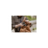 Sony Alpha A7CR