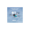 Dji Mini 4K Fly More Combo GL
