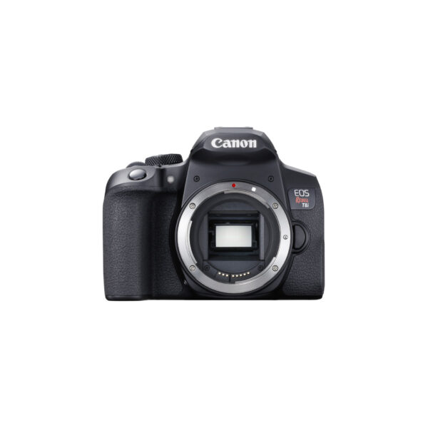 Canon EOS Rebel T8i01 Canon EOS R8 kit 24-50mm f/4.5-6.3