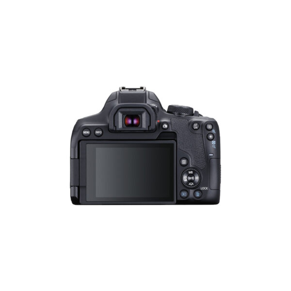 Canon EOS Rebel T8i02 Canon EOS R8 kit 24-50mm f/4.5-6.3