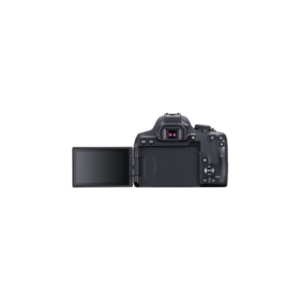 Canon EOS Rebel T8i03 Canon EOS R8 kit 24-50mm f/4.5-6.3