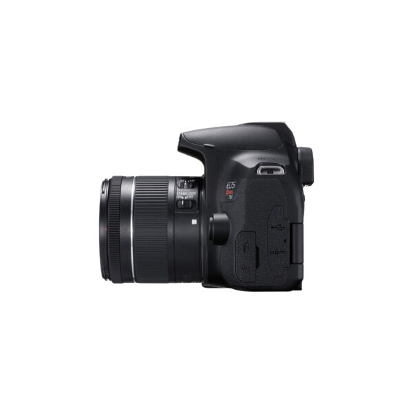 Canon EOS Rebel T8i05 Canon EOS R8 kit 24-50mm f/4.5-6.3