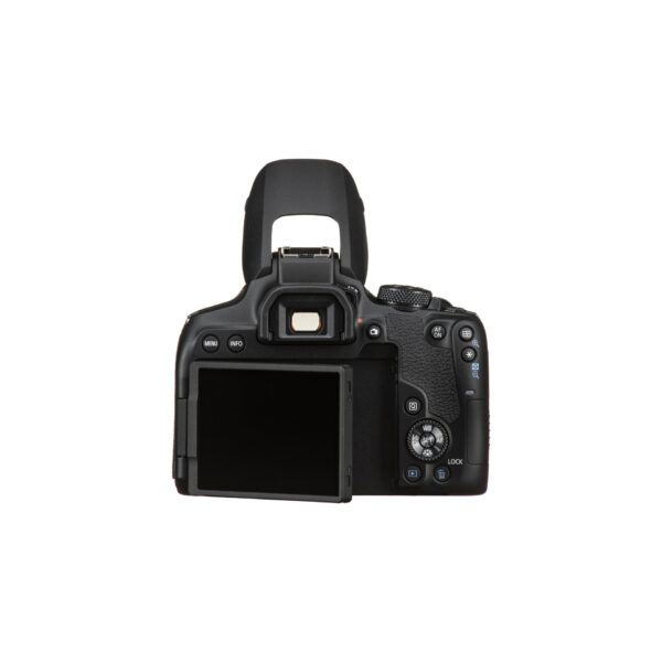 Canon EOS Rebel T8i10 Canon EOS R8 kit 24-50mm f/4.5-6.3