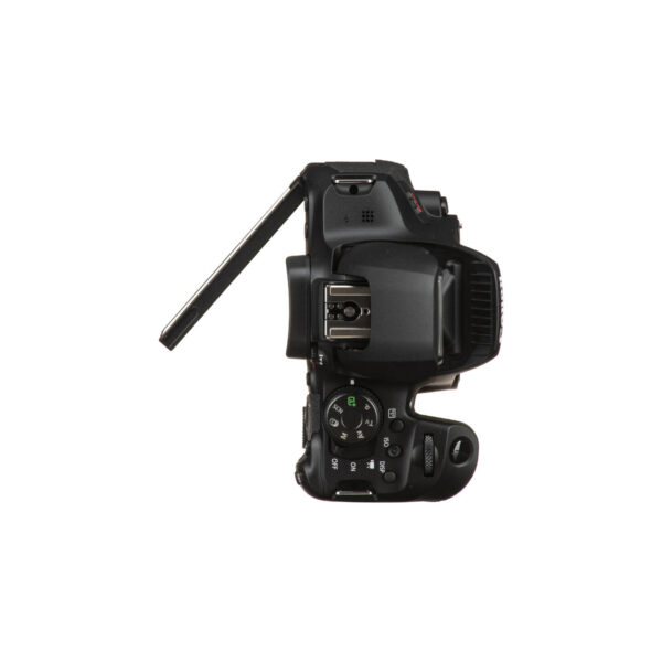 Canon EOS Rebel T8i13 Canon EOS R8 kit 24-50mm f/4.5-6.3