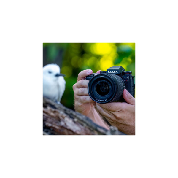 Lumix S1R II11 Lumix S1R II