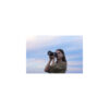 Sony A7V Kit 28-70mm II20 Sony A7V Kit 28-70mm II