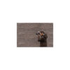 Sony a7 III (Body)09 Sony a7 III (Body)